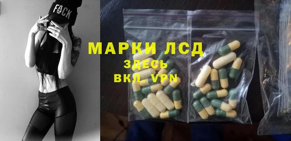 ешки Лагань