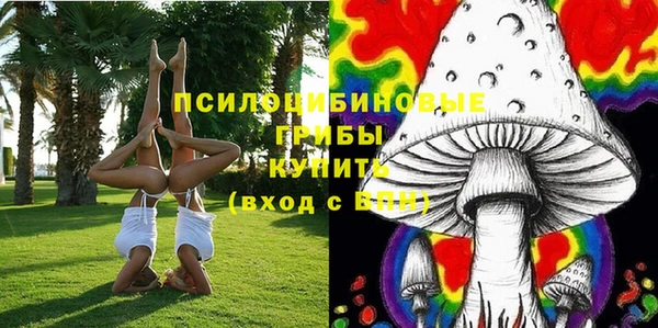 гидра Лабытнанги