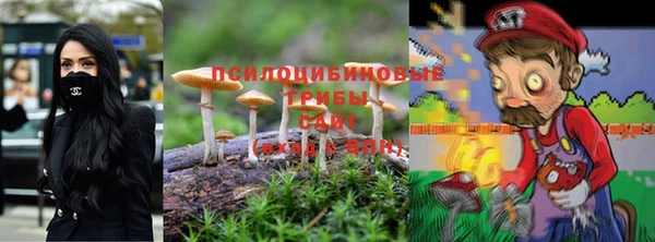 ешки Лагань