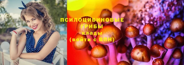 гидра Лабытнанги