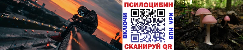 Псилоцибиновые грибы GOLDEN TEACHER  цена   Фатеж 
